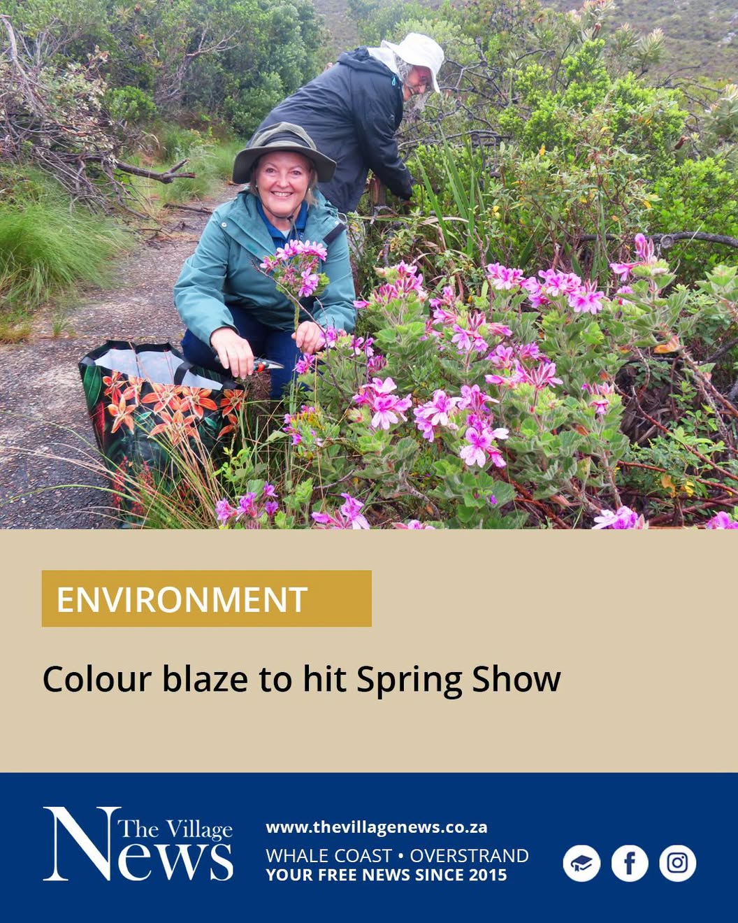 Colour blaze to hit Spring Show