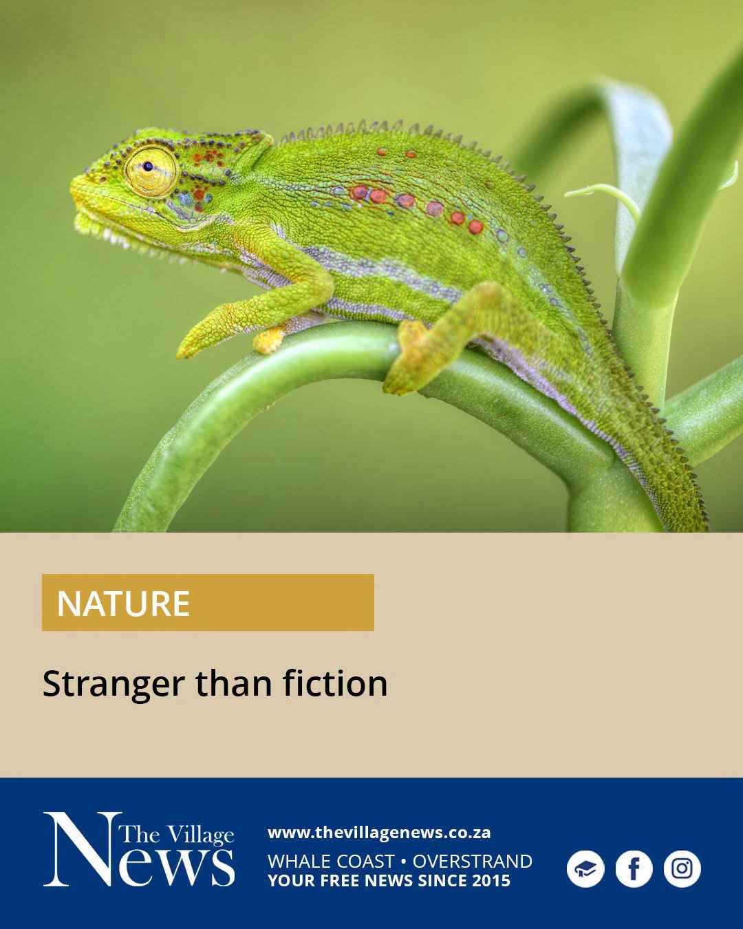 Stranger than fiction