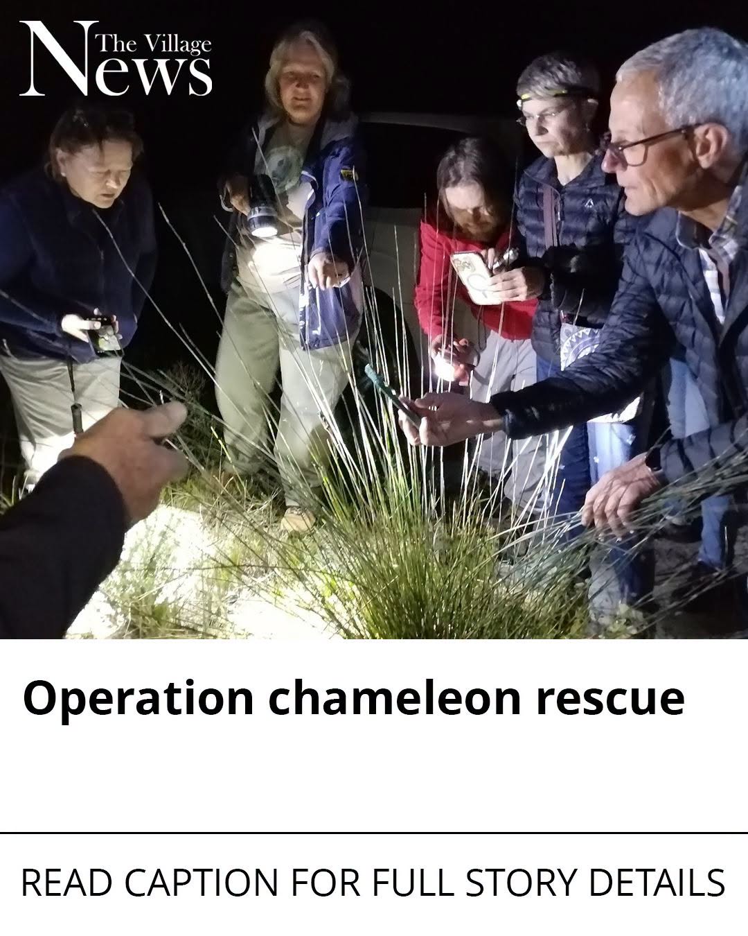 Operation chameleon rescue