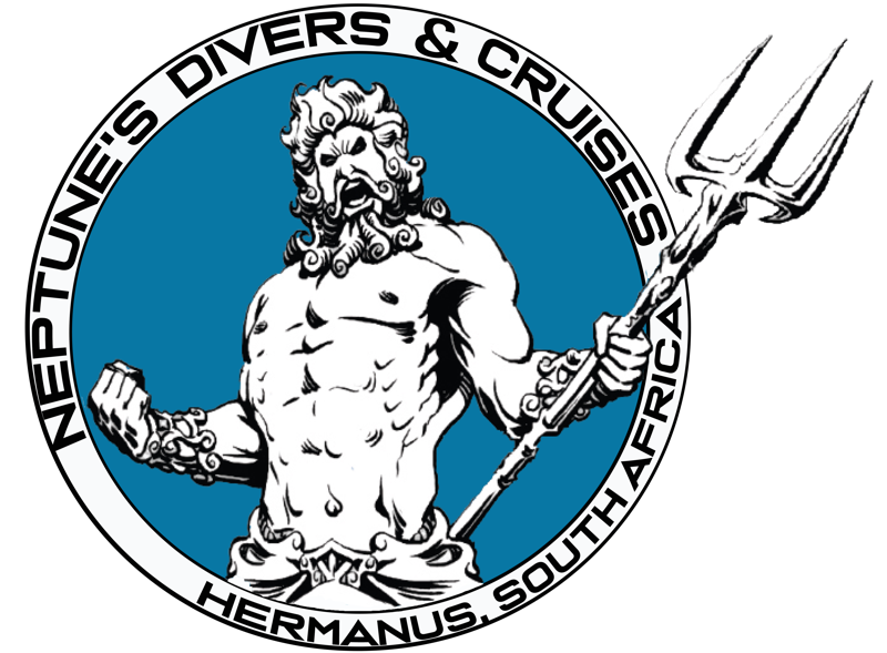 Neptune's Divers & Cruises logo