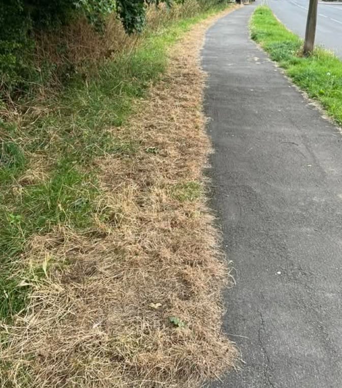 Herbicide-treated road verge in Onrus