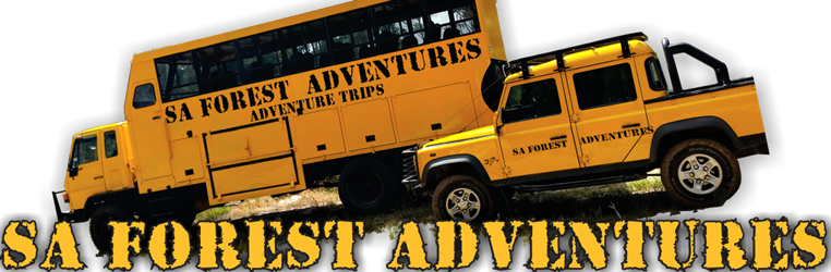 SA Forest Adventures Hermanus logo